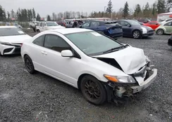 2HGFG12637H530001: 44288177