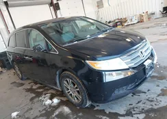 5FNRL5H45DB046000: 44288648