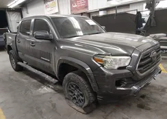 3TMCZ5AN8KM285895: 44287989