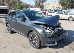 KNDPVCAG7P7089337: 44287996