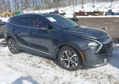 KNDPVCAG1P7066247: 44289219