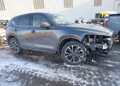 JM3KFBDM9P0157608: 44289330