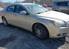 1G1ZE5EBXAF146333: 44289567