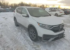 5J6RW2H87NL004199: 44290245