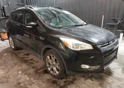 1FMCU0H91DUD32060: 44290369