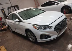 5NPE34AF7KH816572: 44290484