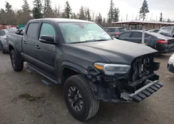 3TMDZ5BNXPM140738: 44289668