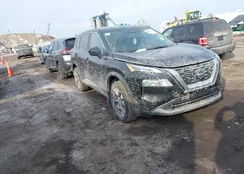 JN8BT3BB9PW466294: 44289714