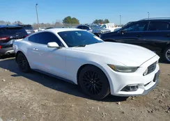 1FA6P8AM2G5220166: 44289820