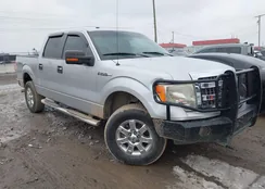 1FTFW1EF8EKF40316: 44289930