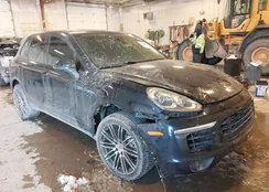 WP1AB2A29HLA53251: 44291442