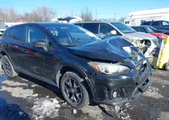 JF2GTADC9K8213194: 44291486