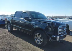 1FTEW1EG7FFC77475: 44291529