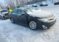 4T1BK1FK0CU519429: 44291620