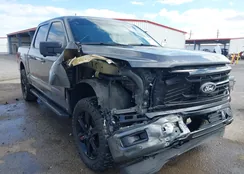 1FTFW3L50RKD59559: 44290753