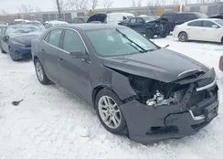 1G11C5SL4FF122424: 44290997