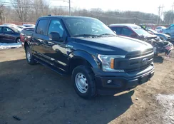 1FTEW1E50KFD34916: 44291817