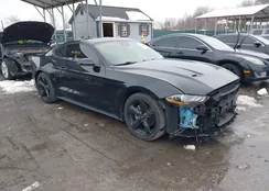 1FA6P8TH7M5118518: 44293451