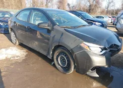 2T1BURHE2GC544890: 44293001