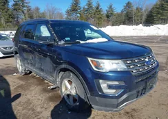 1FM5K8D83GGC28425: 44294326