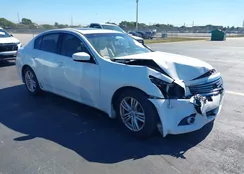 JN1CV6AP7BM510888: 44295061