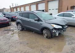 1FMCU9G92EUD70212: 44295379