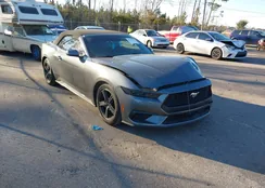 1FAGP8UH0S5116917: 44295506