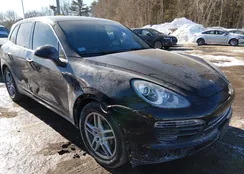 WP1AB2A2XDLA85846: 44295525