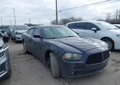 2C3CDXBGXCH178622: 44295530