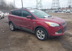 1FMCU9GX6DUB12496: 44294771