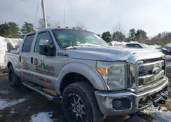 1FT7W2B61DEA00396: 44294874