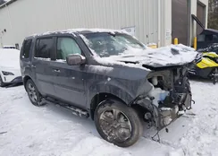 5FNYF4H49DB025700: 44294979