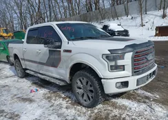 1FTEW1EG8HFB64038: 44296099