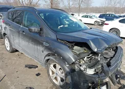 1FMCU9G96FUB15290: 44295841