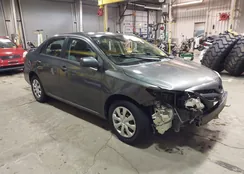 2T1BU4EE3BC599381: 44296019