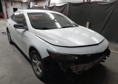 1G1ZB5STXHF167408: 44297557