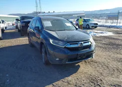 5J6RW2H56HL079101: 44298172