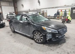 5NPE34AF1HH440265: 44300269