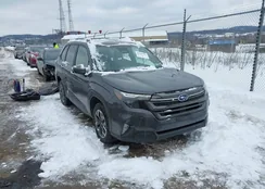 JF2SLDDC6SH565287: 44300491