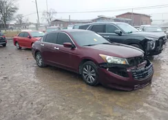 1HGCP3F8XBA024635: 44301059