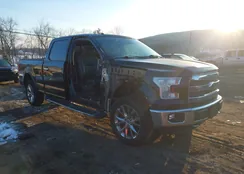 1FTFW1EG8GKF87714: 44301119