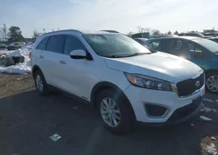 5XYPGDA50HG335101: 44300672