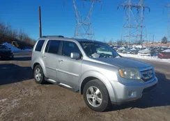 5FNYF4H62AB017550: 44300704