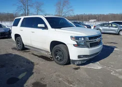 1GNSKDEC3HR318254: 44300885