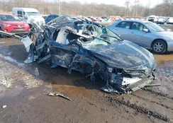 4T1C11BK0LU019638: 44300969