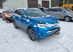 JTMRJREV3GD001983: 44302230