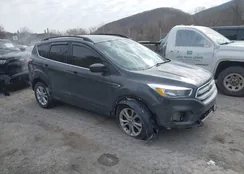 1FMCU9GD9JUA81990: 44302272