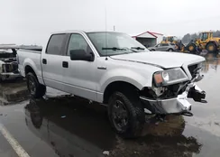 1FTRW14W86FB46629: 44302313