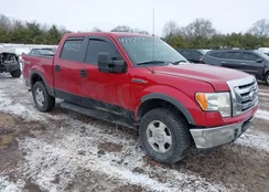 1FTEW1E82AFC53313: 44302503