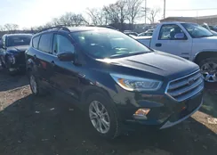 1FMCU9GD0HUD14813: 44302587